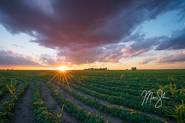 Sunset over the American Heartland