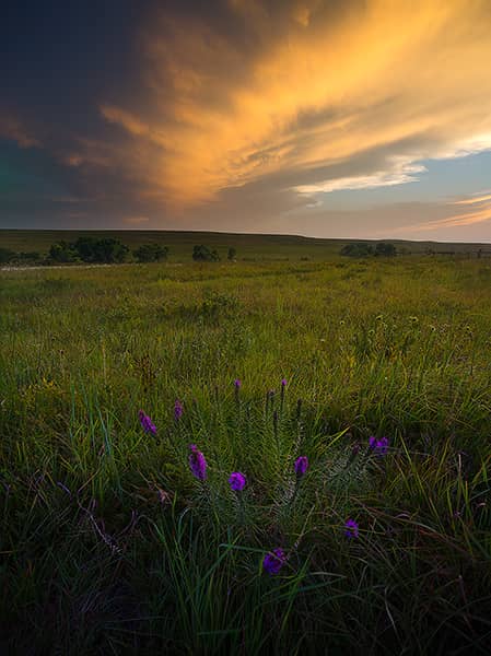 Tallgrass Prairie Summer Sunset