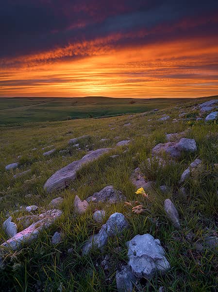 Gallery of nature photographs for sale – Flint Hills Photography