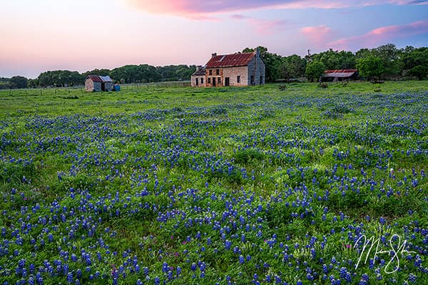 The Bluebonnet House