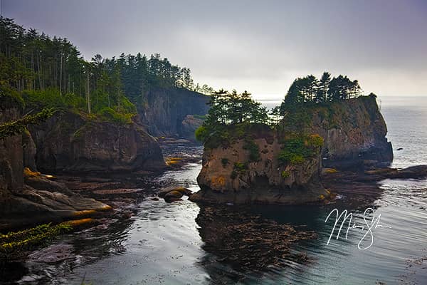 The Coast of Cape Flattery