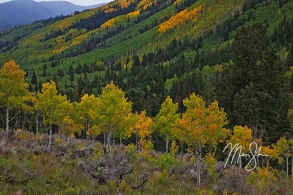 The Color of Castle Creek Road