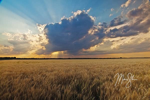 The Heartland of America