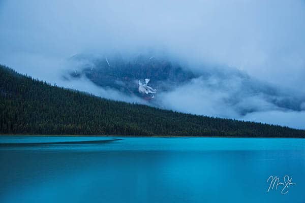 Waterfowl Lake Fog