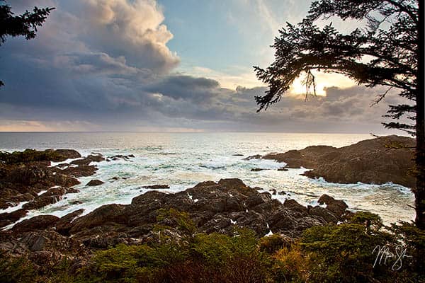 Wild Pacific Trail Sunset