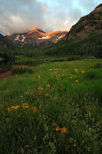 Wildflowers At Maroon Lake