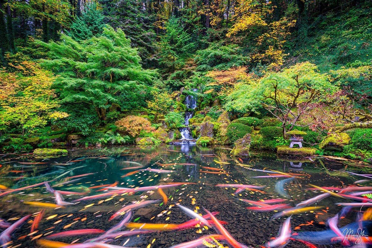 Waterfall Photography: Proxy Falls, Oregon in the Pacific Northwest