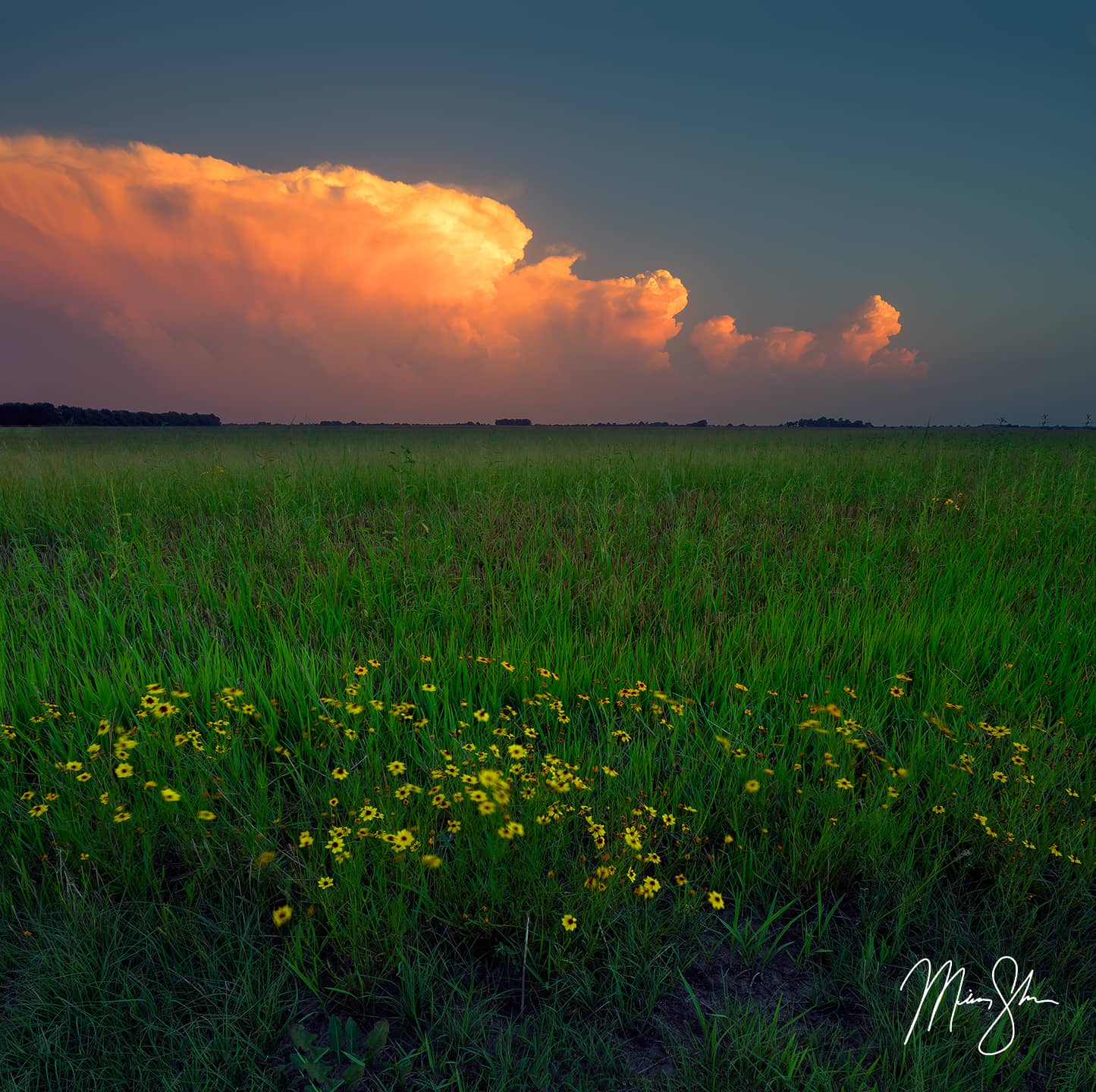 Thunderstorm Sunset - Wichita, KS