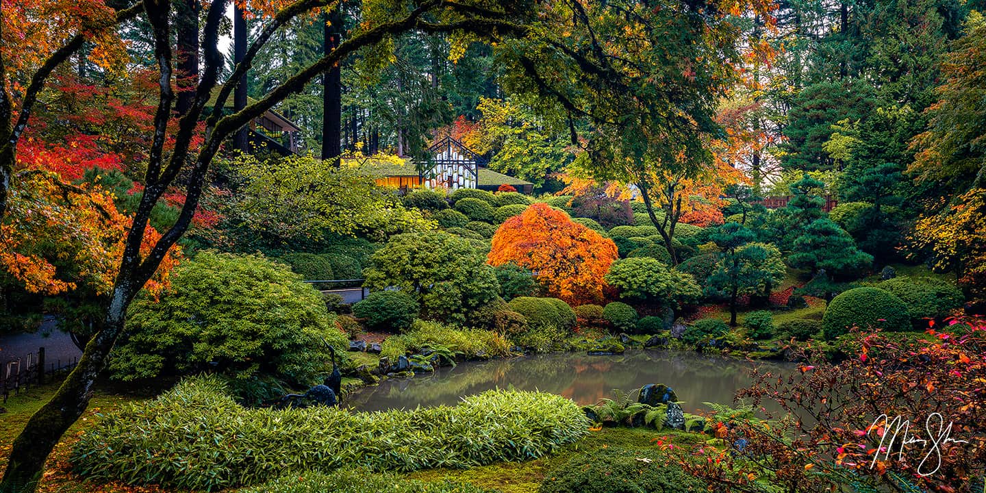 Tranquility - Portland Japanese Garden