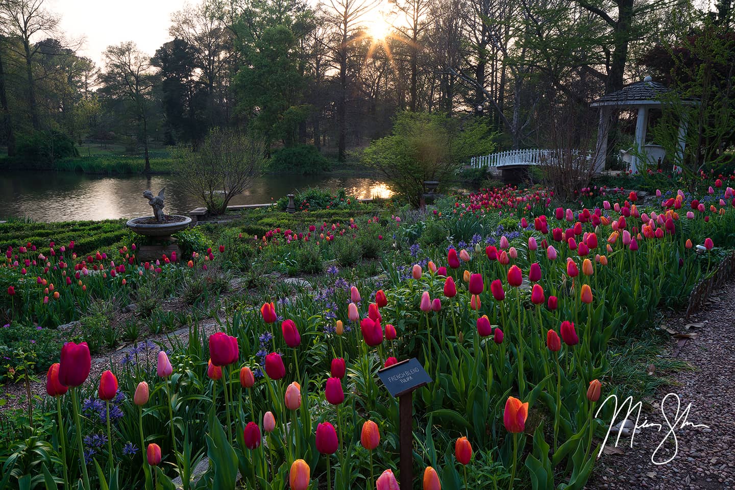 Tulip Time at Bartlett Arboretum - Bartlett Arboretum, Belle Plaine, Kansas