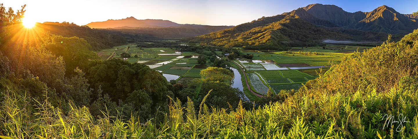 Valley of Legends - Hanalei Valley, Kauai, Hawaii