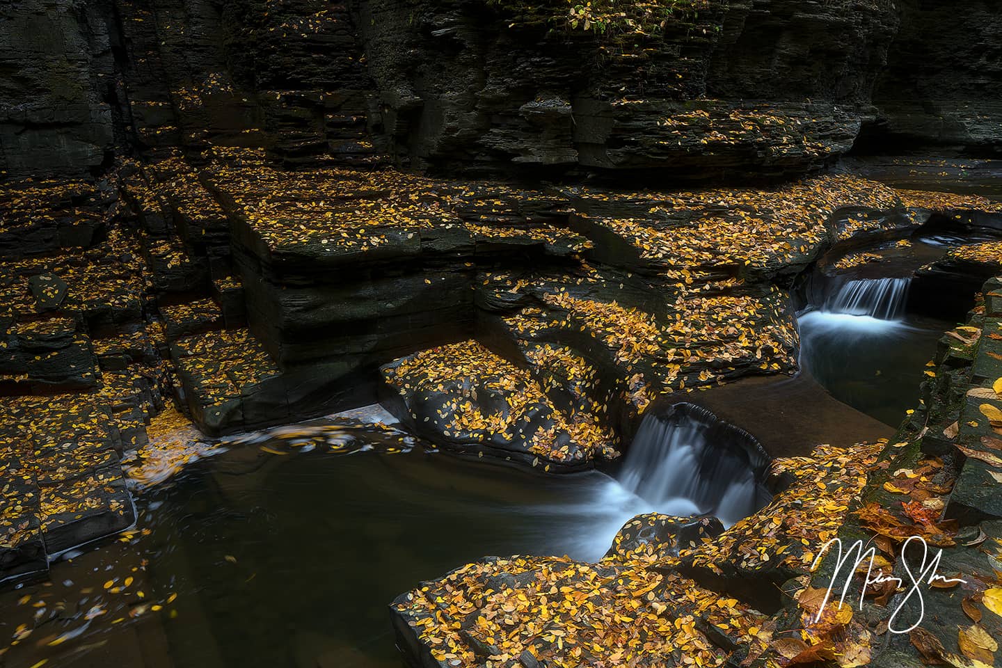 Watkins Glen Gold - Watkins Glen State Park, NY