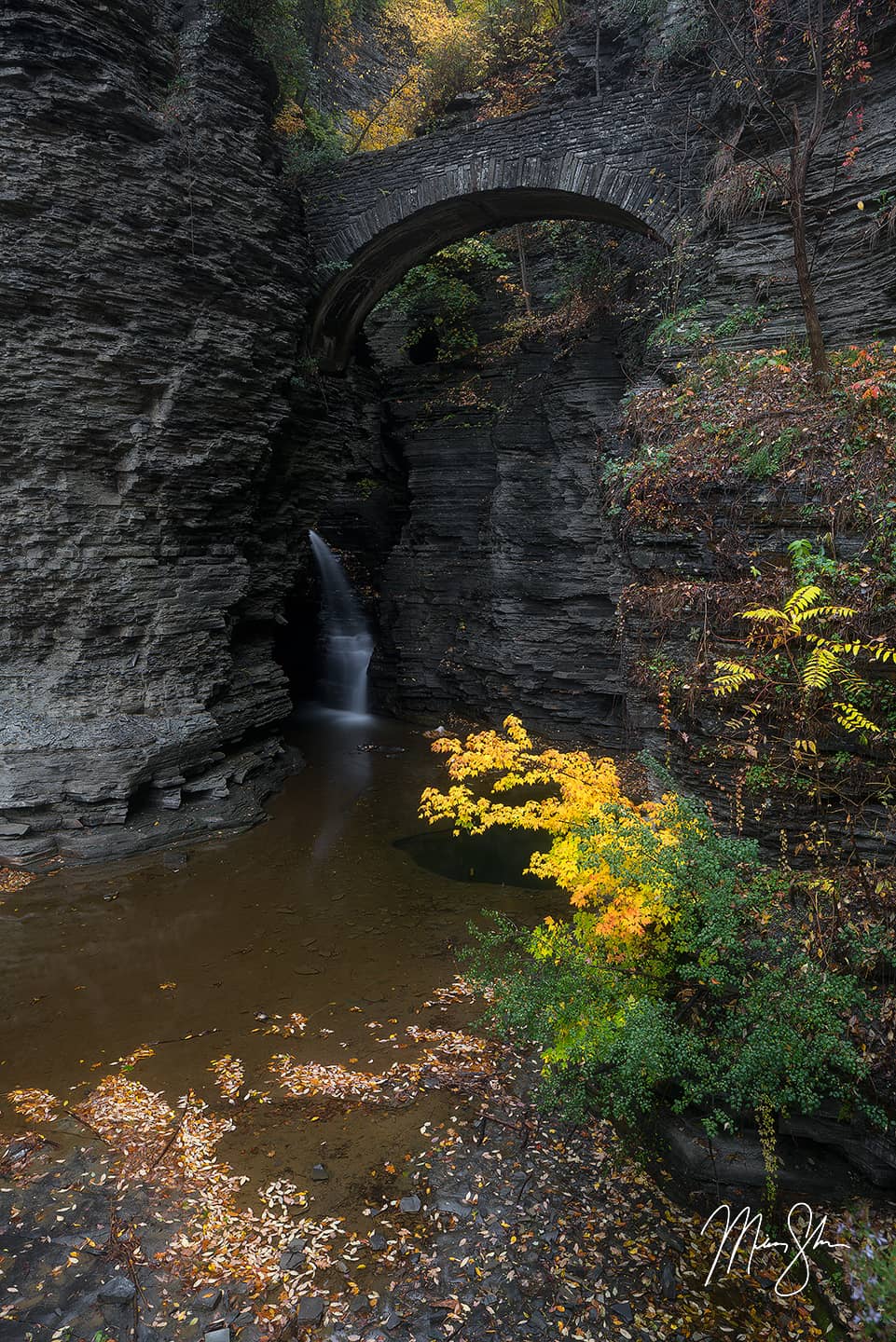 Watkins Glen Sentry Bridge - Watkins Glen State Park, NY