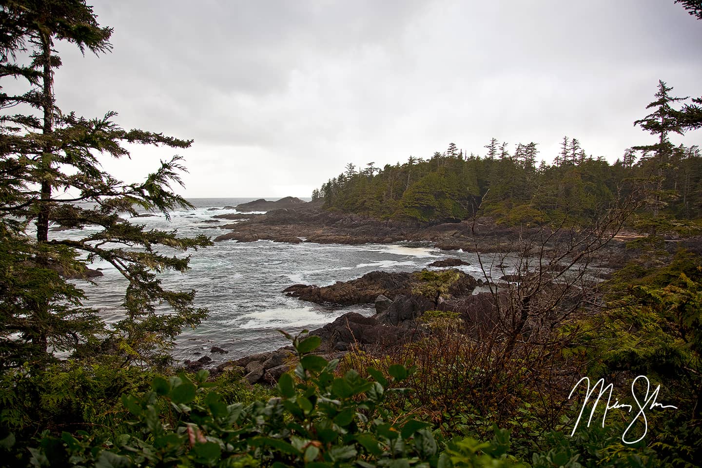 Wild Pacific Trail Coastline - Ucluelet, Vancouver Island, British Columbia Canada