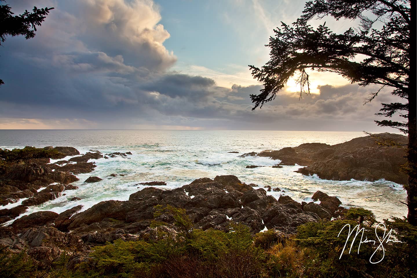 Wild Pacific Trail Sunset