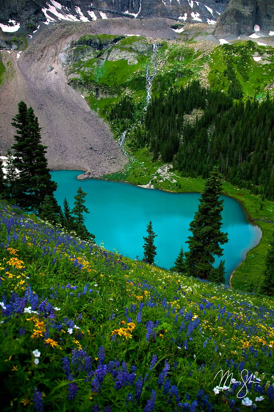 Wildflowers and Waterfalls at Blue Lake - Ridgway, San Juans, Colorado