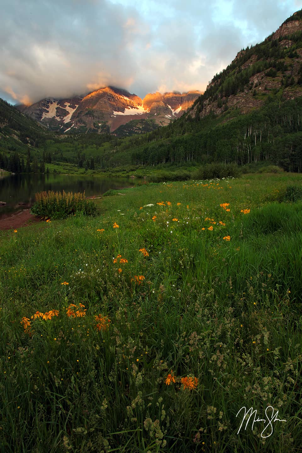 Wildflowers At Maroon Lake - Aspen, Colorado