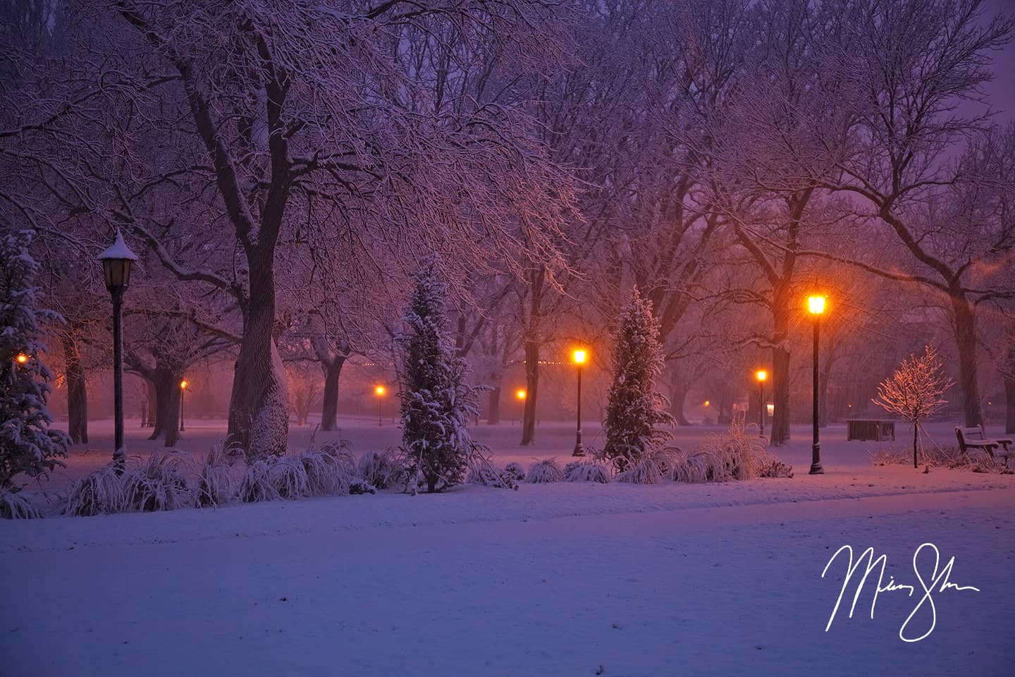 Winter at Friends University - Friends University, Wichita, KS