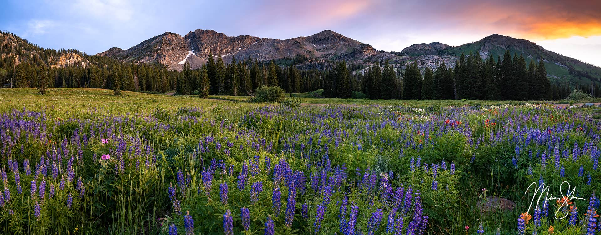 Albion Basin Sunset Glory | Albion Basin, Alta, Utah | Mickey Shannon