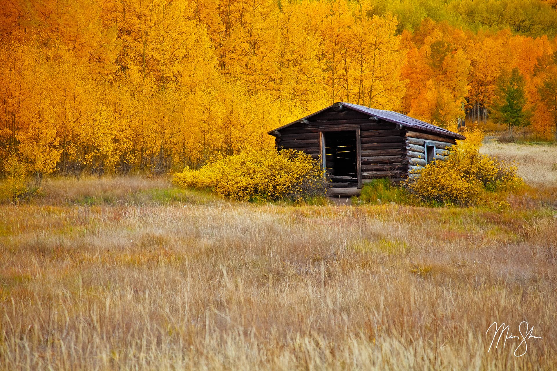 Ashcroft Autumn Cabin Ashcroft Ghost Town, Aspen, Colorado Mickey