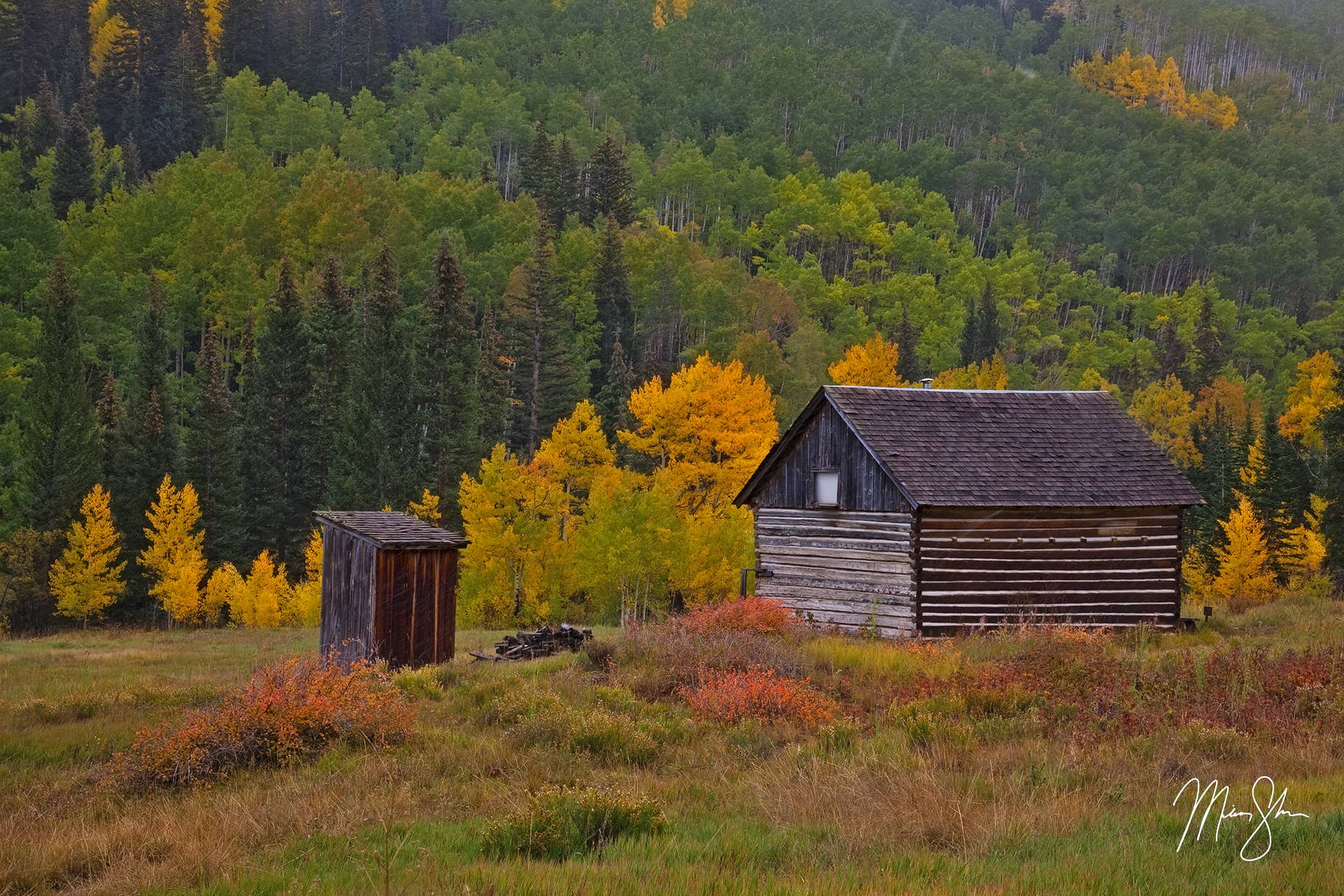 Ashcroft in the Fall Ashcroft Ghost Town, Aspen, Colorado Mickey