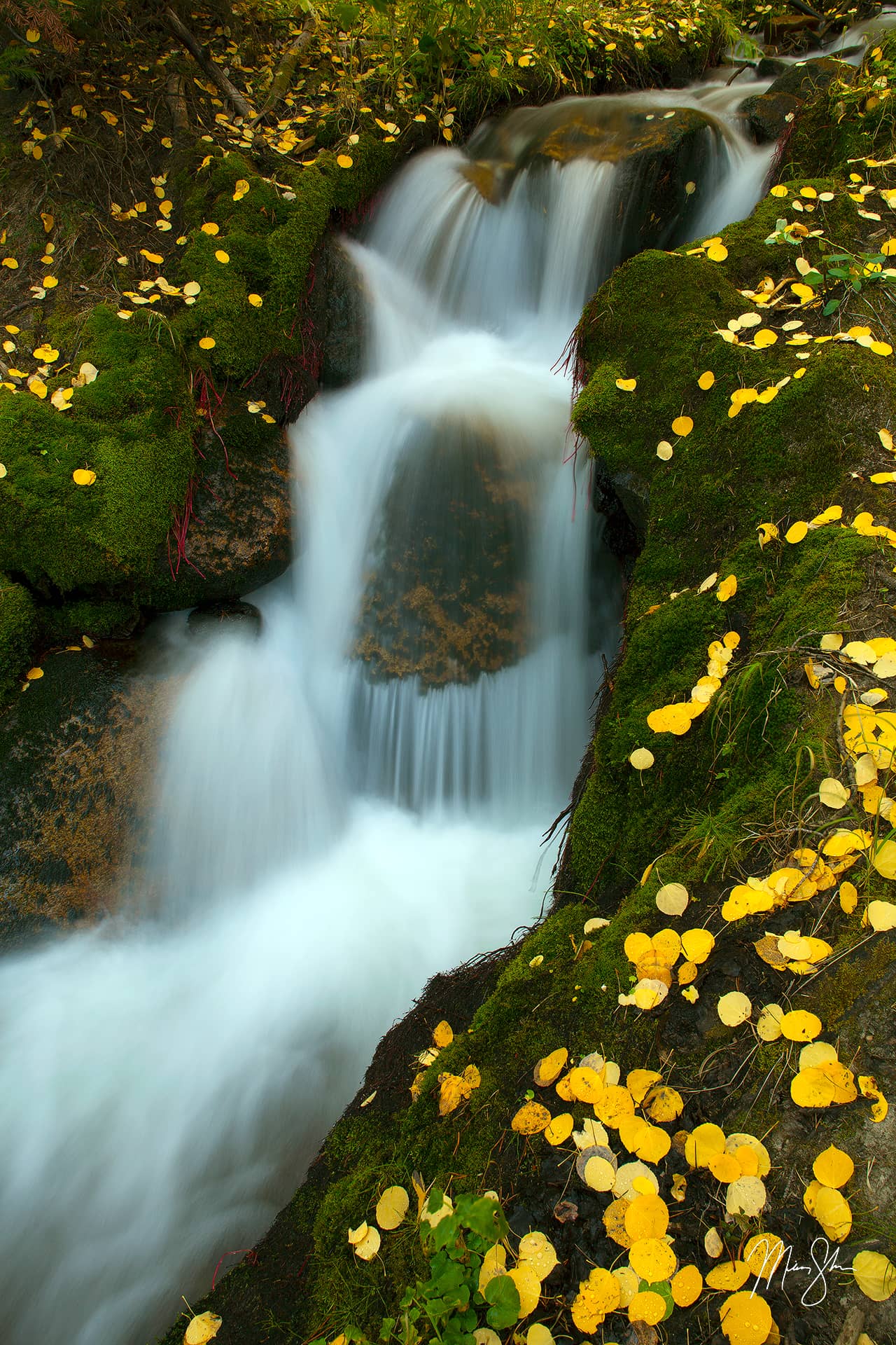 Boulder Brook