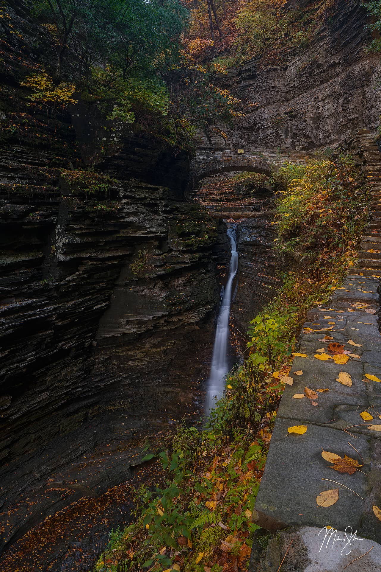 Central Cascade of Watkins Glen Watkins Glen State Park, NY Mickey