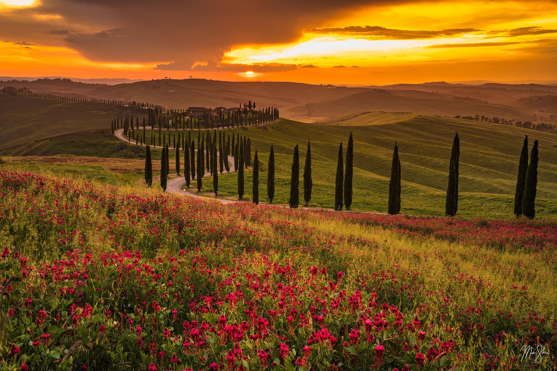 Crete Senesi Sunset Baccoleno Farmhouse Road Tuscany