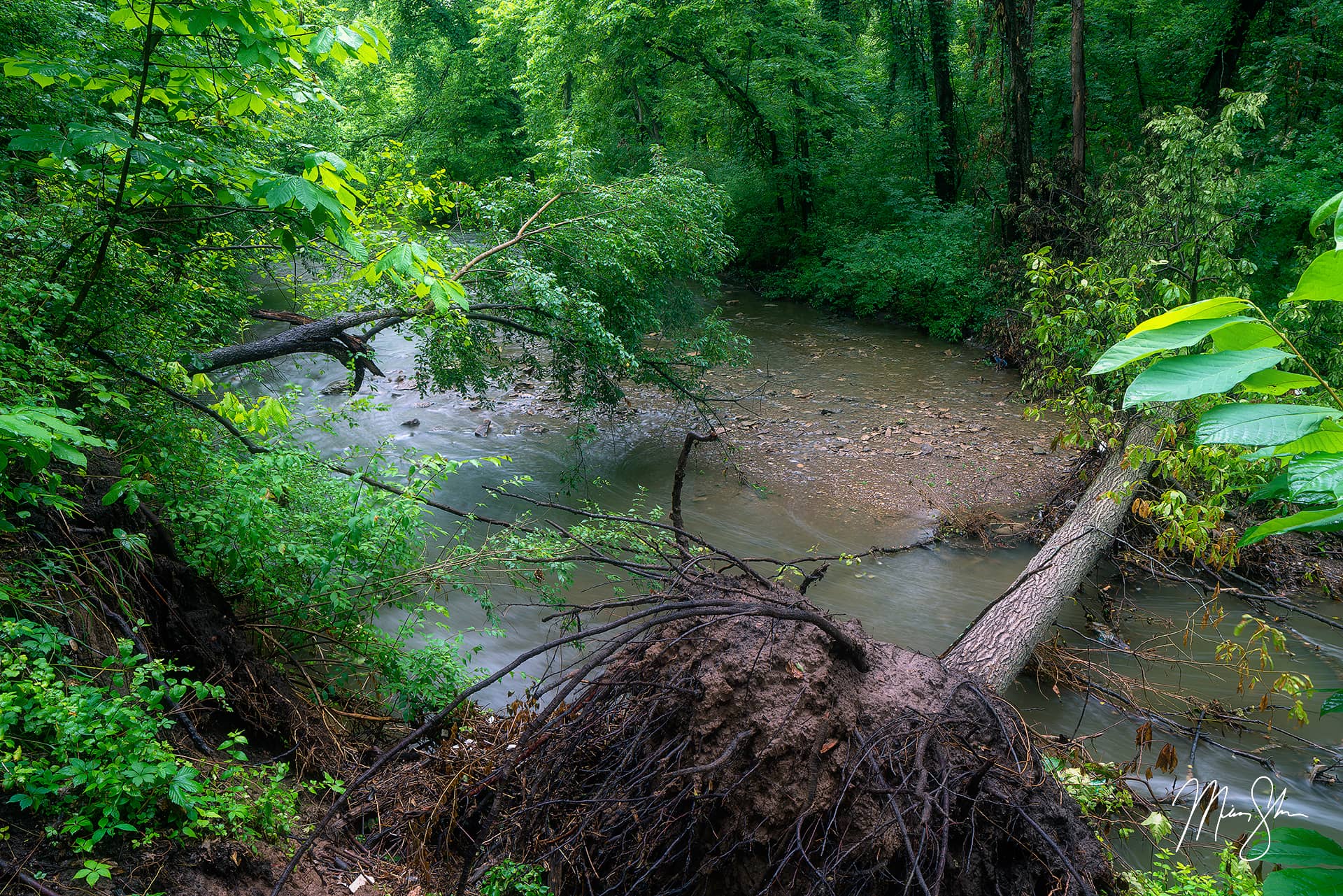 Ernie Miller Nature Center