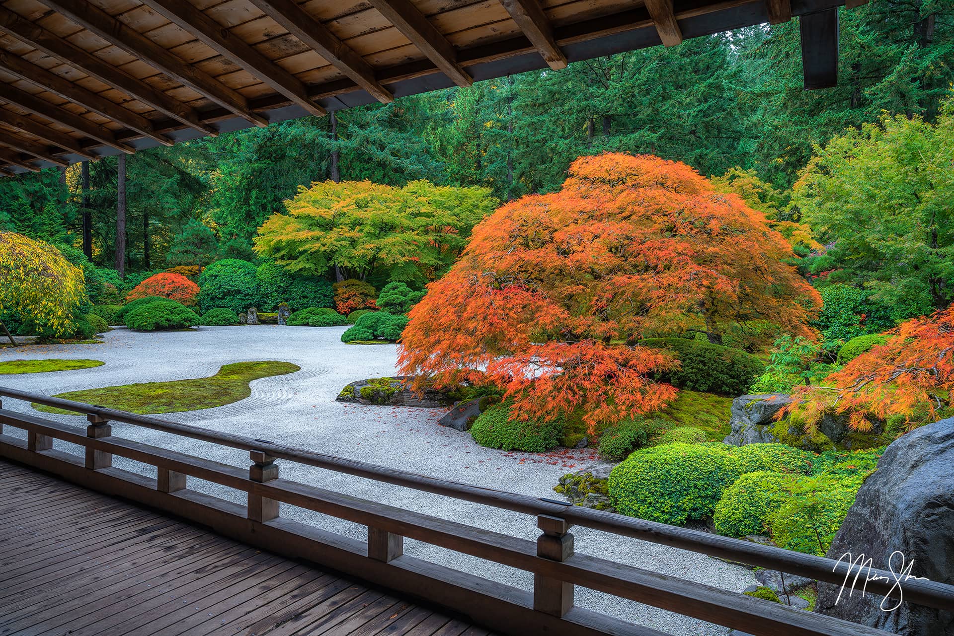 Fall at the Flat Garden Portland Japanese Garden, Portland, Oregon