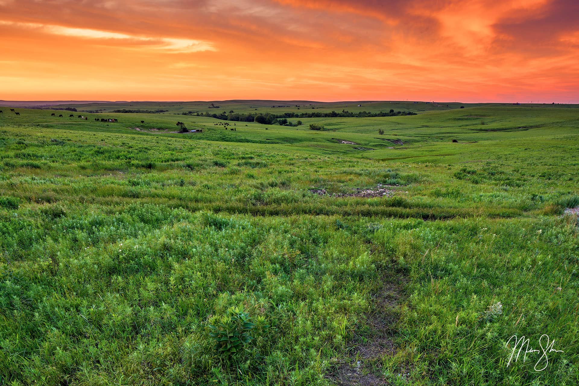 Flint Hills Sunset Texaco Hill, The Flint Hills, Kansas Mickey