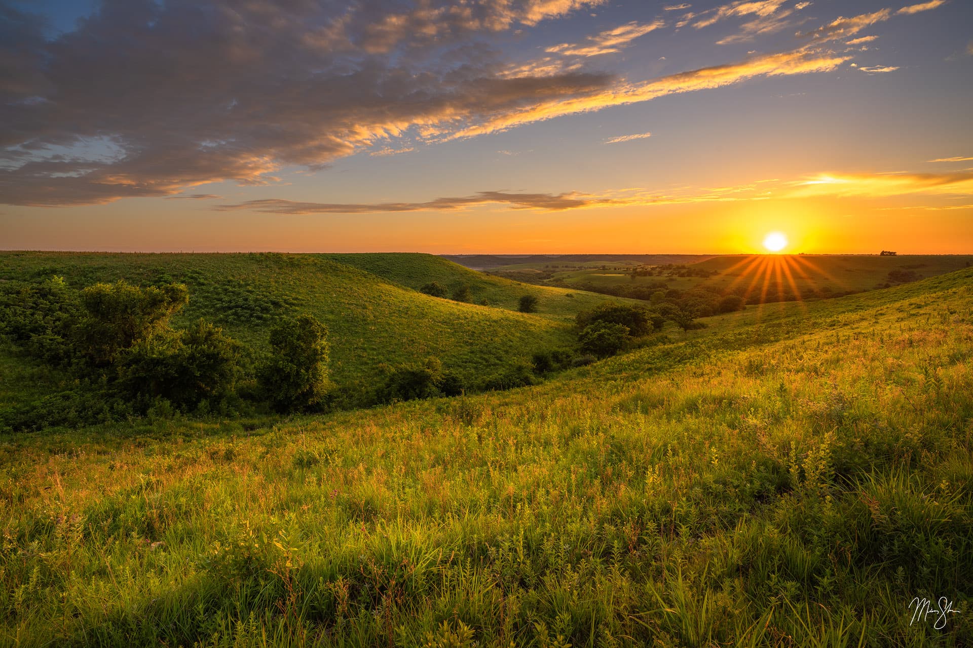 Great Plains Photography: Bluebonnets on the prairie