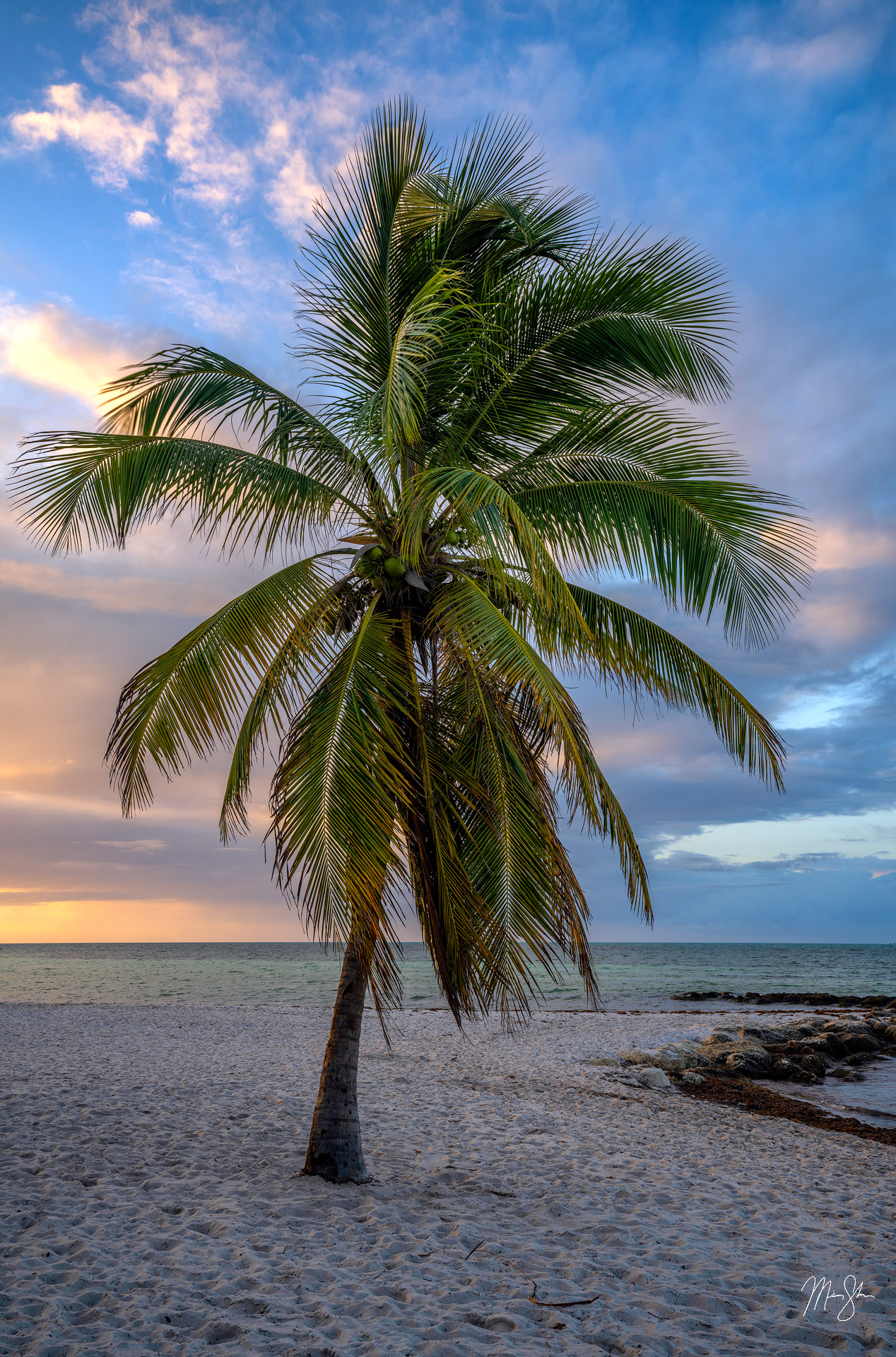 Key West Palm Tree Sunrise Smathers Beach, Key West, Florida Mickey Shannon Photography