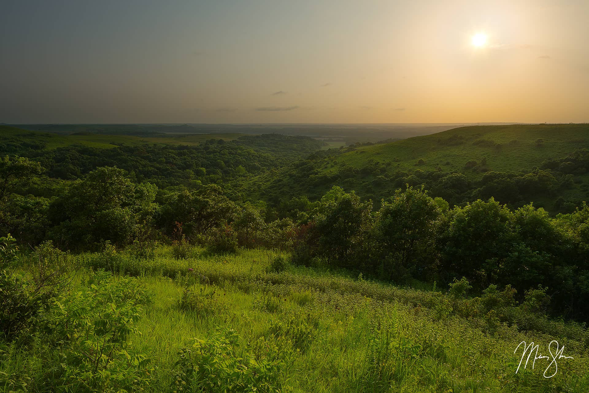 Konza Prairie