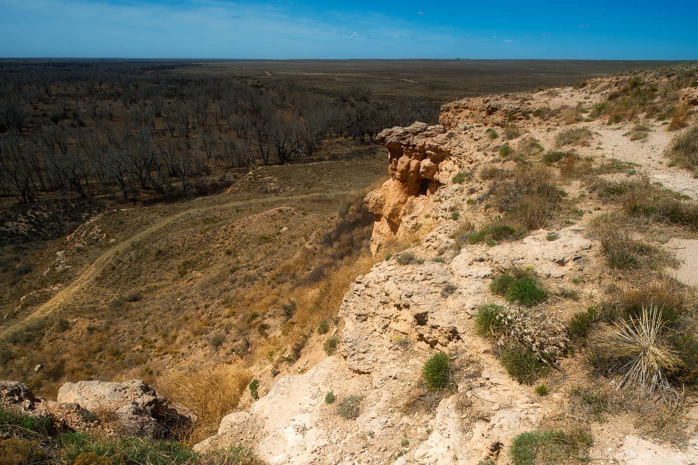 Cimarron National Grassland