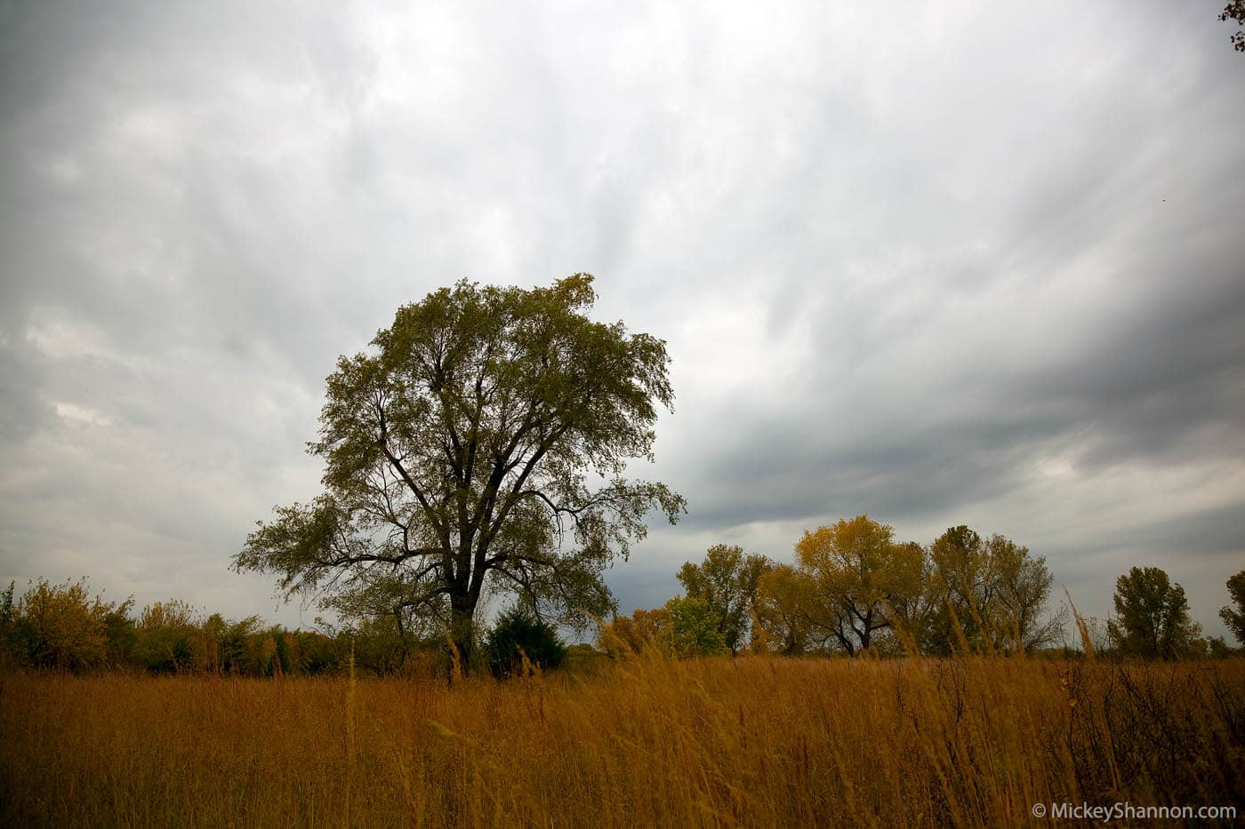 Sand Hills State Park