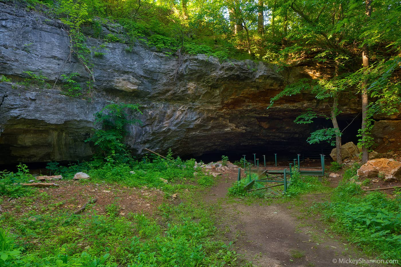 Schermerhorn Cave