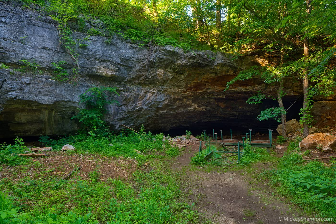 Schermerhorn Park