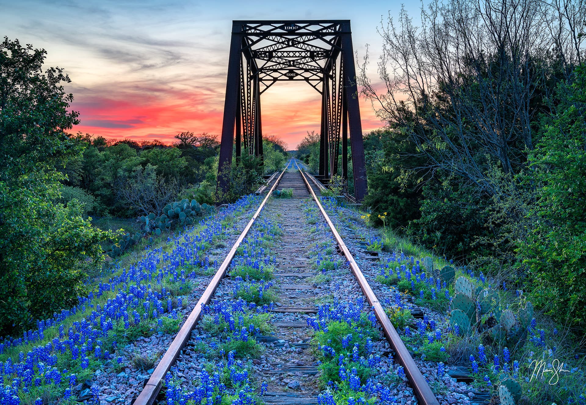 Texas Photography: Bluebonnet pictures