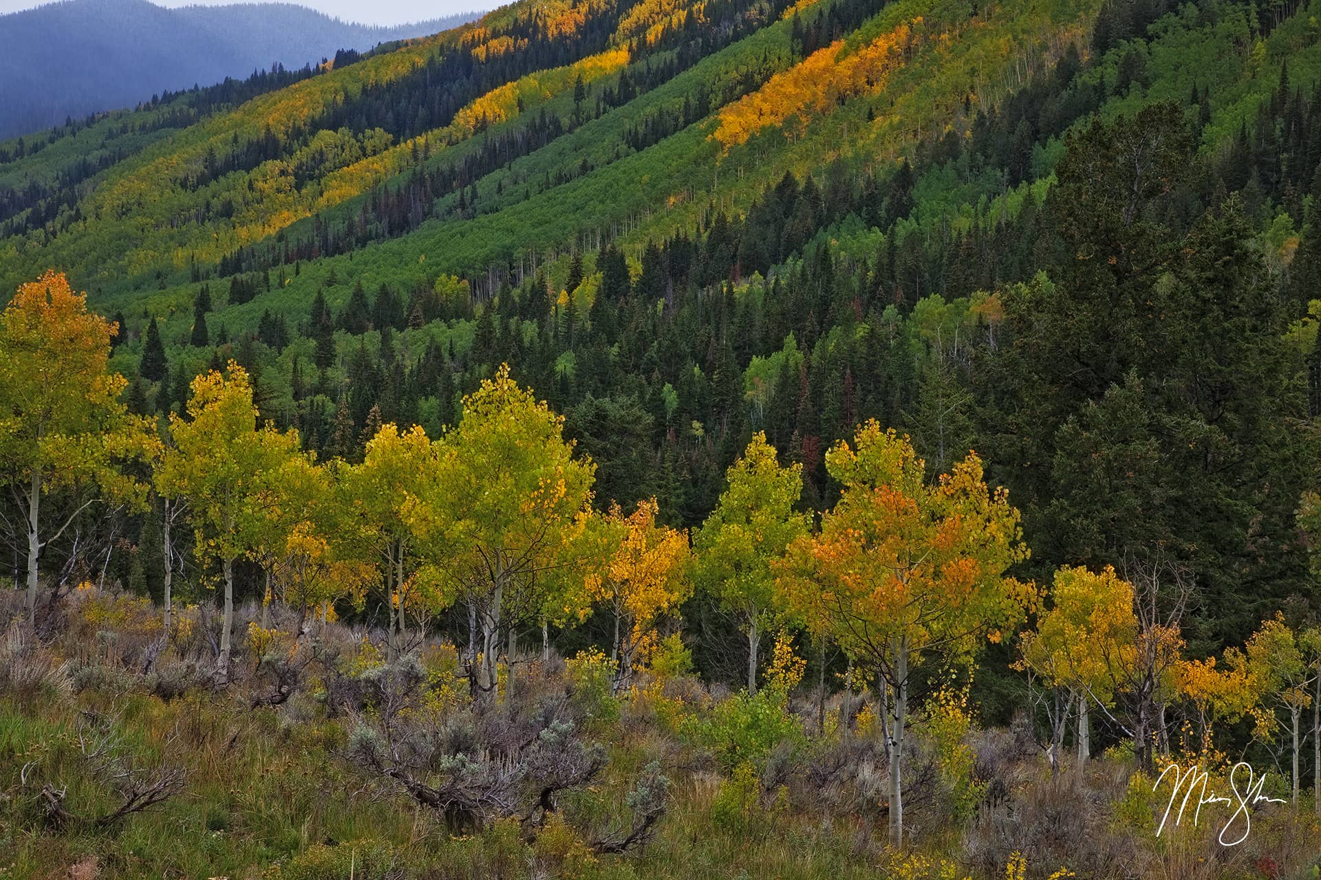 The Color of Castle Creek Road Castle Creek Road, Aspen, Colorado